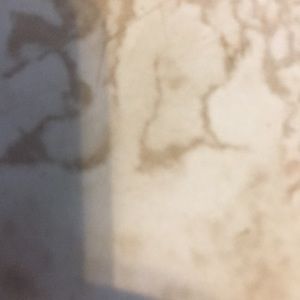 Meet your Posher, Lamona